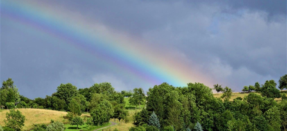 Regenbogen